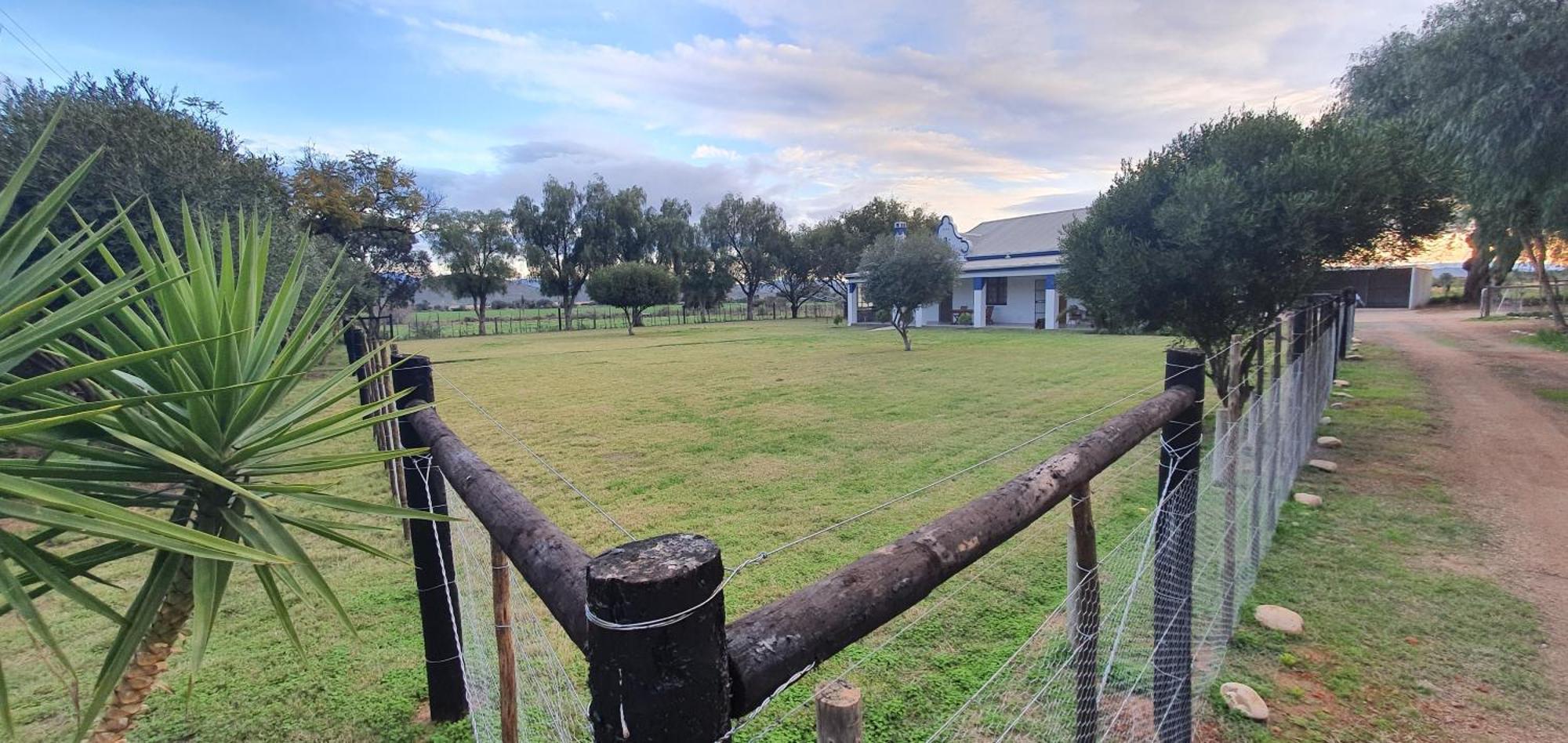 Karoo Leeu Self Catering Villa Oudtshoorn Dış mekan fotoğraf